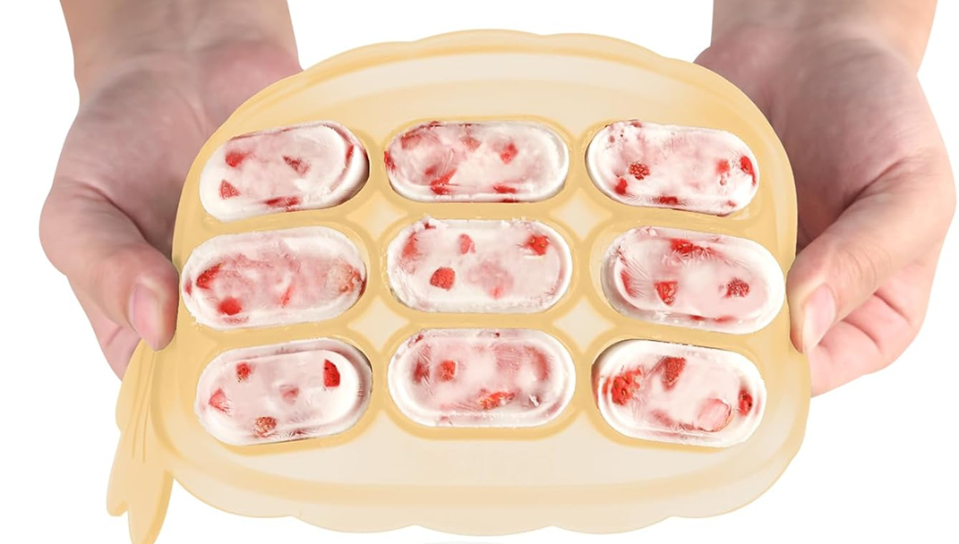 HAAKAA vassoio in silicone per congelare alimenti + coperchio