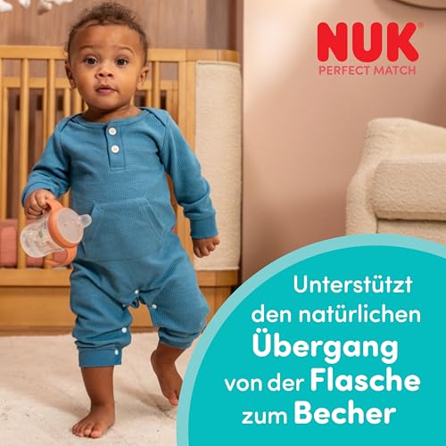 NUK Perfect Match Learner beker 150 ml 6 mnd+ Winnie de Poeh