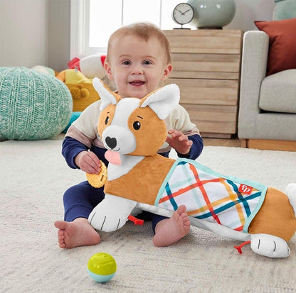 FISHER-PRICE HJW10 σκυλάκι για παιχνίδι στην κοιλίτσα 29,2 x 43,2 εκ.