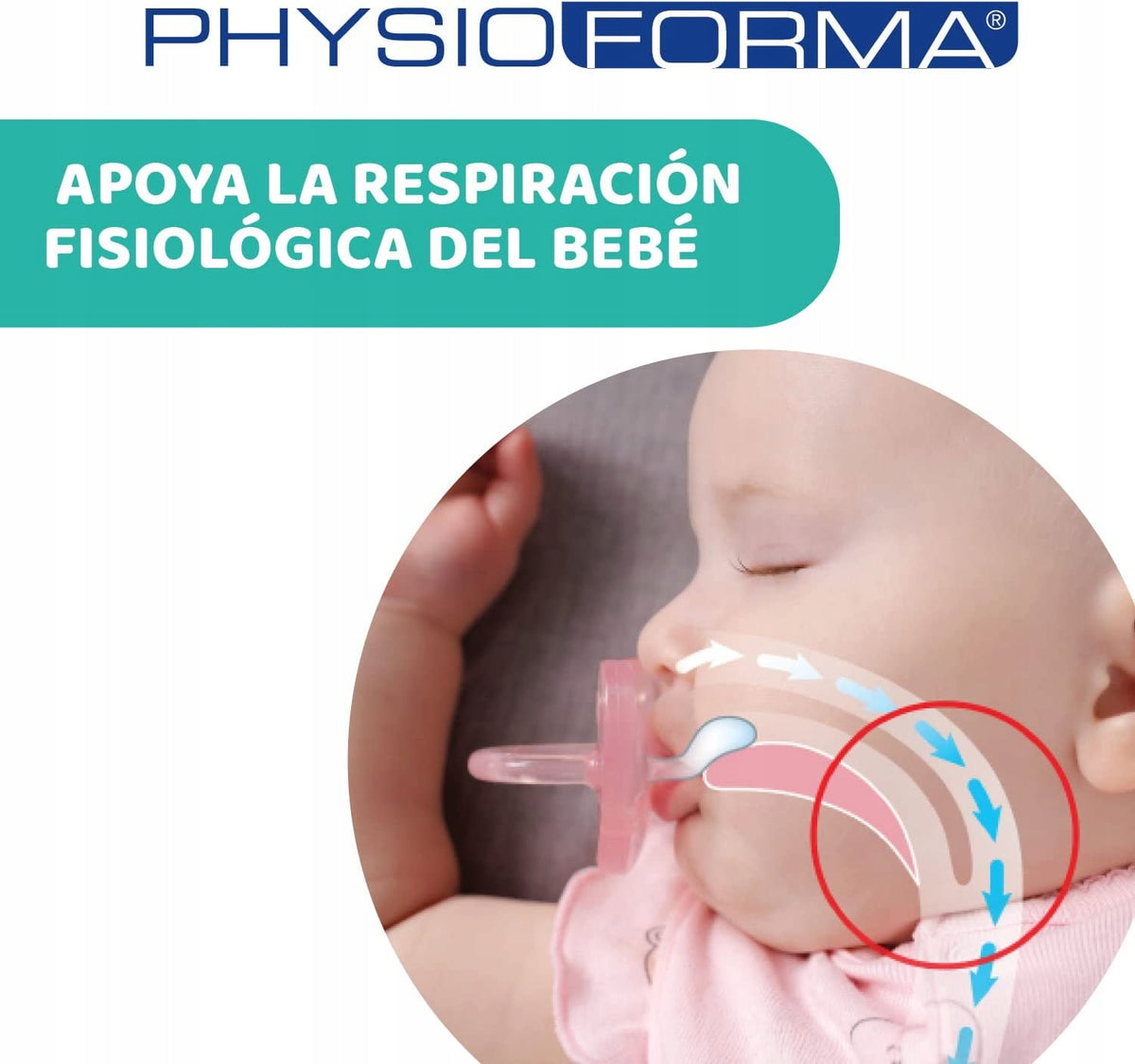 CHICCO PhysioForma Schnuller x4 16-36M
