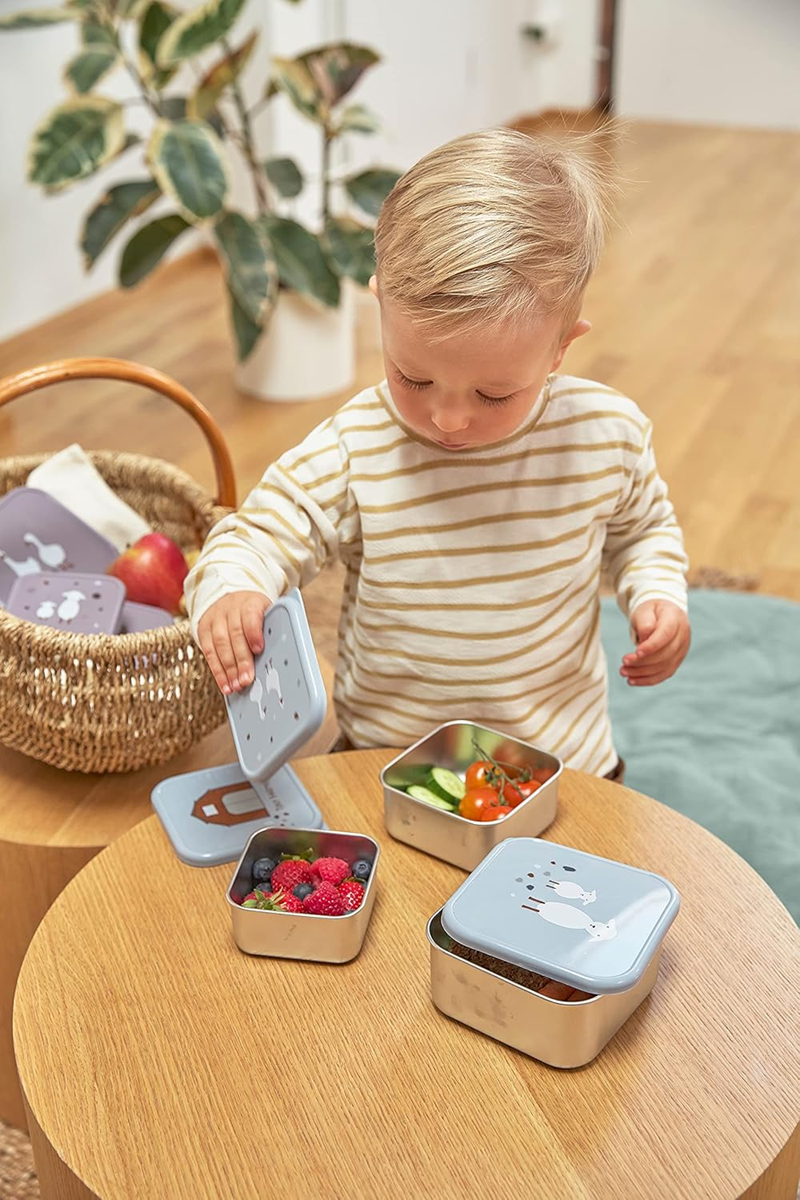 LASSIG Snackbox scatole in acciaio per snack x3