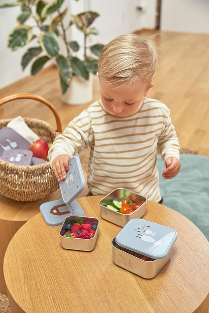 LASSIG Snackbox scatole in acciaio per snack x3