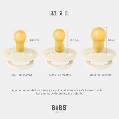 BIBS COLOUR duda za pomirjanje 2pack iz kavčuka 0-6 mesecev