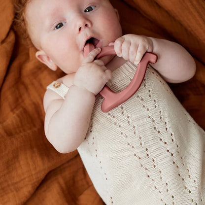 EVERYDAY BABY mordedor de silicone 9,5 x 9,5 cm