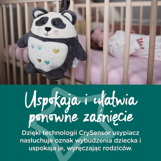 TOMMEE TIPPEE Pip the Panda PRZYTULANKA lampka dźw
