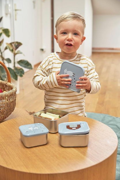LASSIG Snackbox scatole in acciaio per snack x3